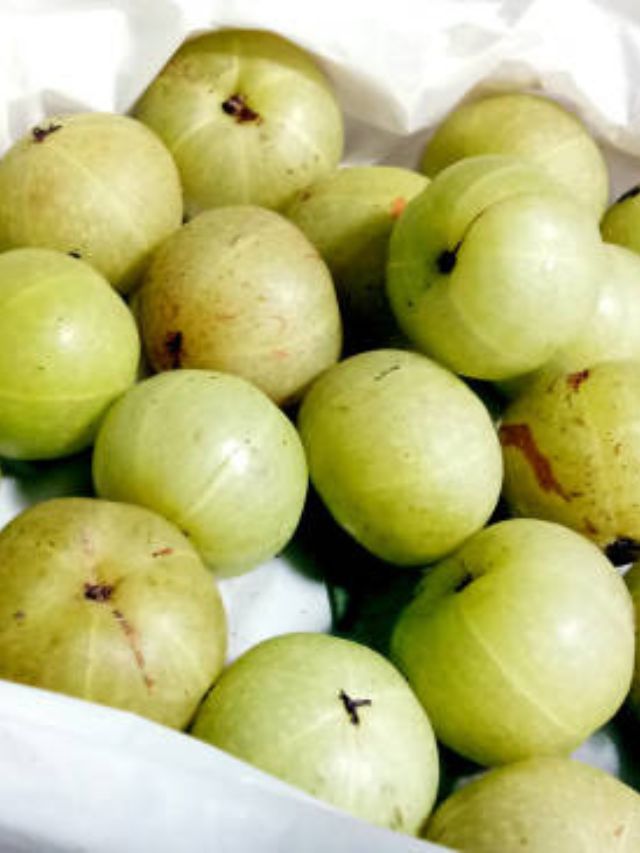 स्टीम आवळा खाल्ल्याने आरोग्याला मिळतील हे फायदे