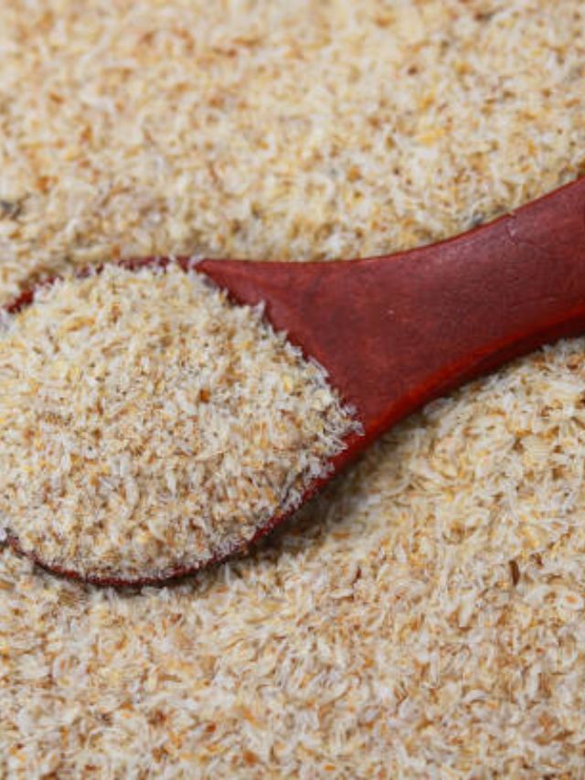 महिनाभर इसब गोल खाल्ल्याने दूर होतील या समस्या..