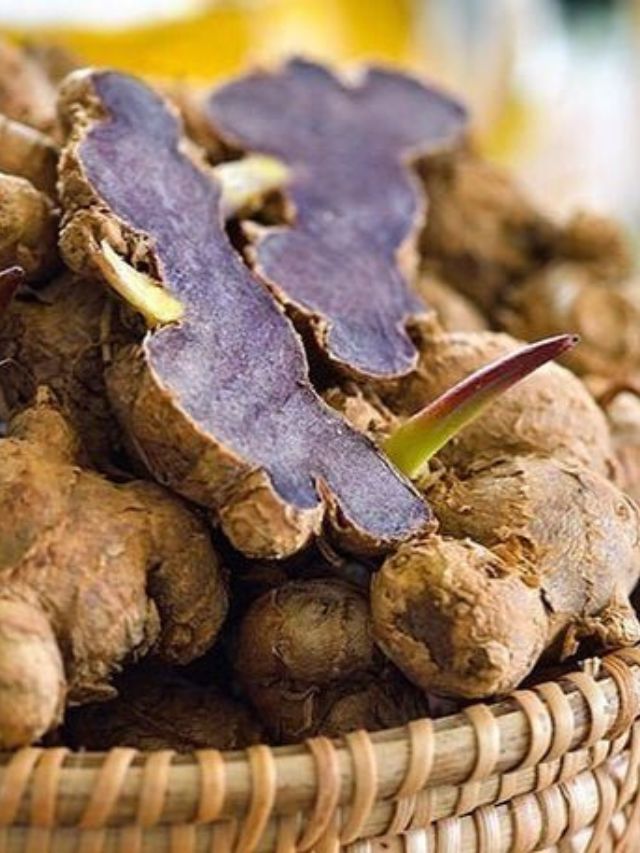 या आजारांवर औषध आहे काळी हळद, नक्की ट्राय करा