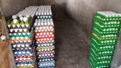 चिकन, मटन, अंड्याचे दर कडाडले; पोल्ट्री उत्पादक शेतकऱ्यांना सुगीचे दिवस