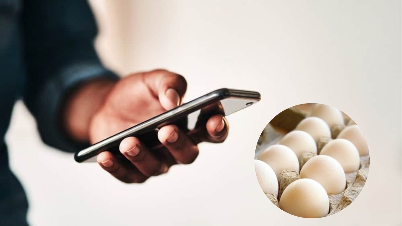 आता किचनमध्येही लागणार स्मार्टफोनचा तडका! EGGS फ्रेश आहे की नाही? न फोडताच समजणार, नव्या तंत्रज्ञानाची यूजर्सना भूरळ