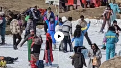 मनालीला जायचा विचार करताय? त्यापूर्वी ‘हा’ व्हिडिओ पाहा, पर्यटकांसोबत मोठा स्कॅम, जाणून बसले धक्का