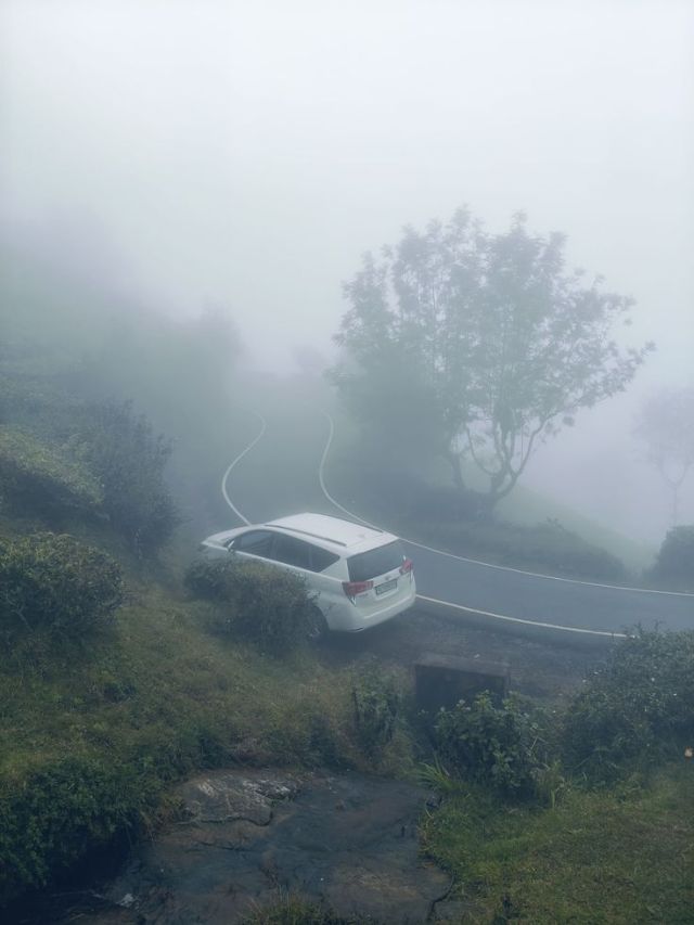 दाट धुक्यात कार चालवताना या गोष्टी लक्षात ठेवा