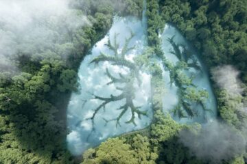 Green Energy Maharashtra: अपारंपरिक ऊर्जेचा वाटा २० टक्केच! ऊर्जा वापर वाढतोय, हरित भविष्य धोक्यात? महाराष्ट्राचं कठोर वास्तव