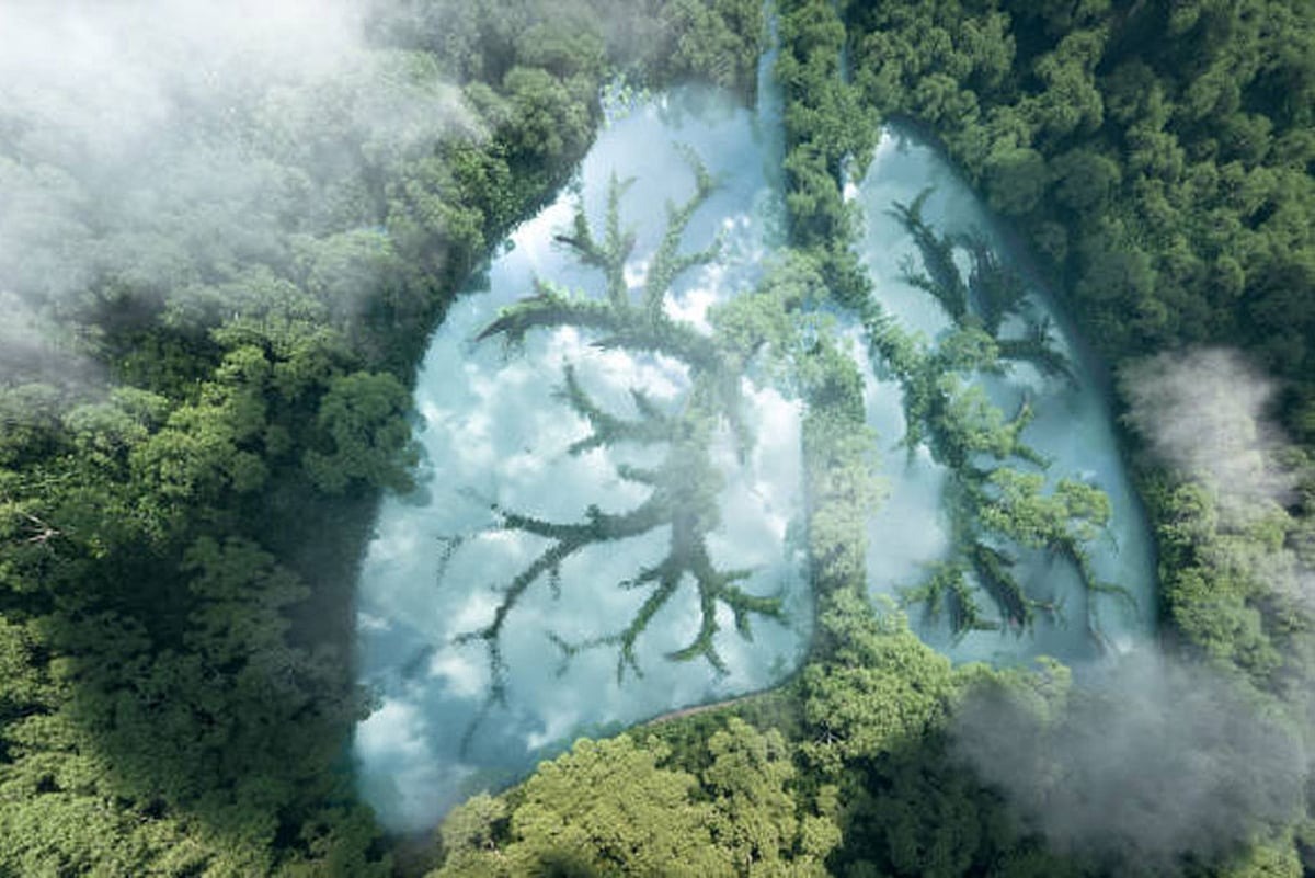 Green Energy Maharashtra: अपारंपरिक ऊर्जेचा वाटा २० टक्केच! ऊर्जा वापर वाढतोय, हरित भविष्य धोक्यात? महाराष्ट्राचं कठोर वास्तव