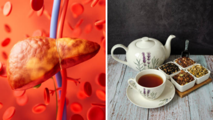 सावधान! लिव्हर सडवू शकतो ‘हा’ चहा, डॉक्टरांचा इशारा, पित राहिल्यास बिघडेल आरोग्य