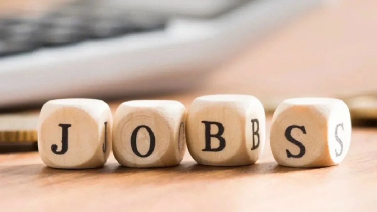 12 वी उत्तीर्ण विद्यार्थ्यांसाठी नोकरीची संधी! CBSE कडून सरकारी नोकरीची भरती मोहीम जाहीर , कधी आणि कसा अर्ज करू शकता? जाणून घ्या..