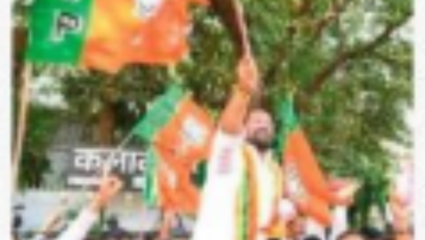 निकालांनी महाविकास आघाडीला धसका, कसा ठरला निकाल?