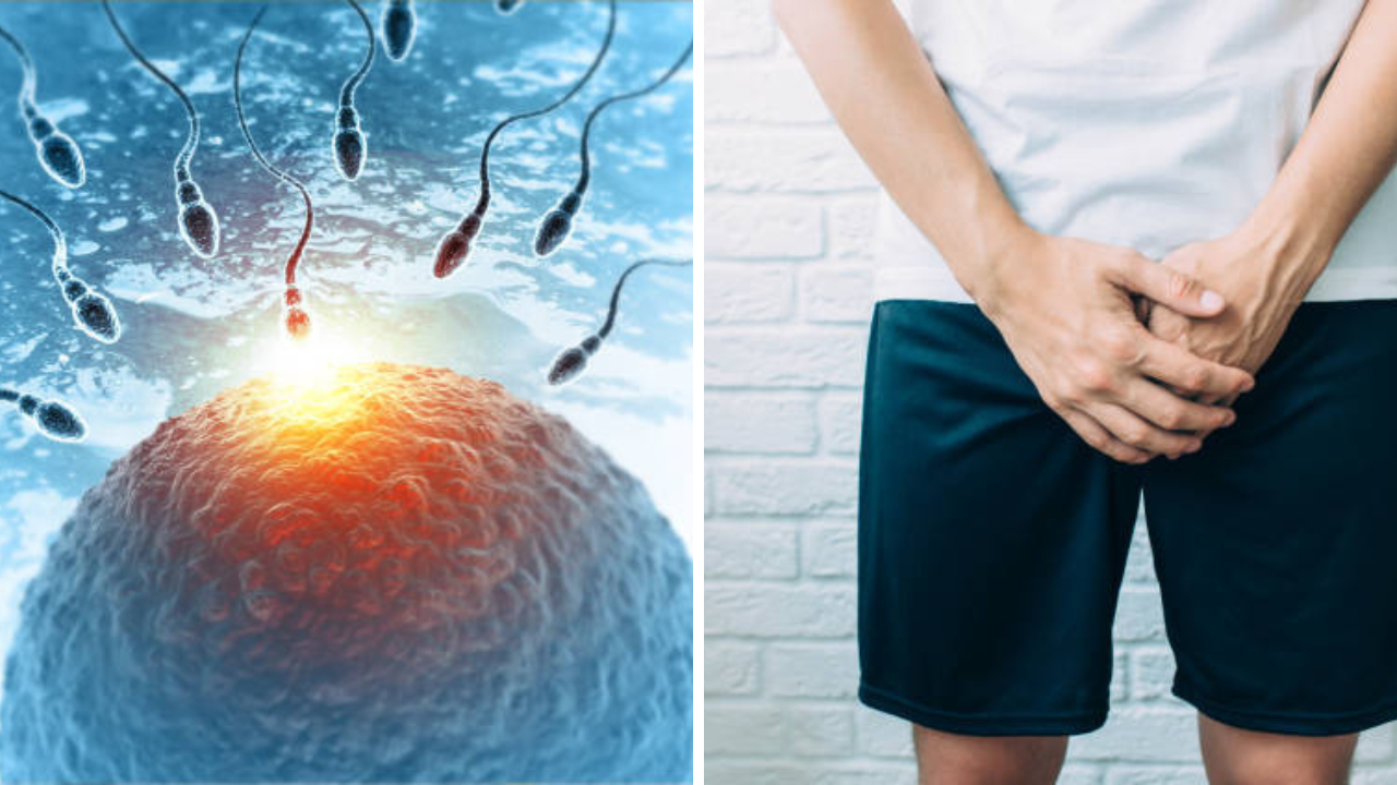 35 वर्षानंतर पुरुषांच्या फर्टिलिटीमध्ये होते घट, वाढविण्यासाठी 30 वयानंतर खावे 5 Stamina युक्त पदार्थ