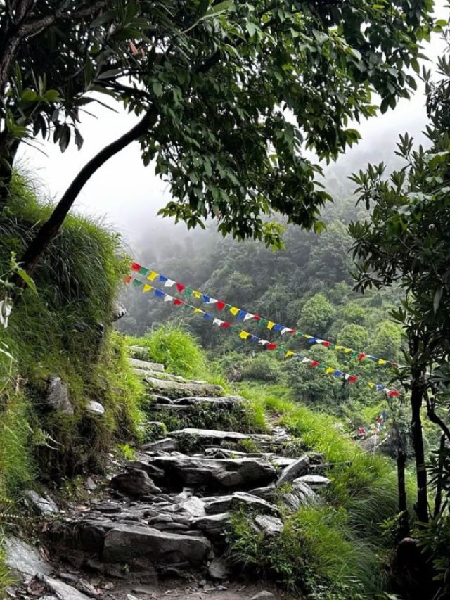 स्वर्गही फिका पडेल;  डोळ्याचं पारणं फेडणारं 'मेघालय'