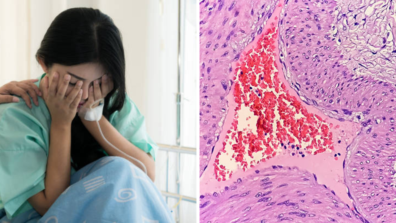 वय वर्ष 27, 3 वेळा आई होता होता झाले Miscarriage,1 टेस्ट आणि समोर आलं कारण बसला धक्का…