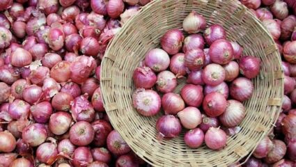 Onion Imports: कांदा शेतकऱ्यांसाठी मोठा दिलासा! बांगलादेशने दिली आयात परवानगी