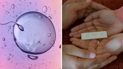 महिन्यातून 5 दिवसात सहज होऊ शकता Pregnant, 24 तासात संपुष्टात येते 20% क्षमता; तज्ज्ञांचा खुलासा