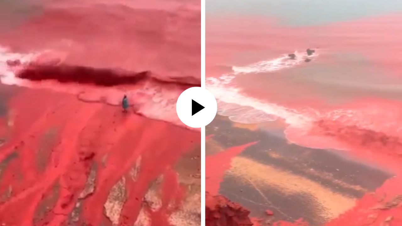 इराणमध्ये का होत आहे रक्ताचा पाऊस, समुद्रकिनारा झाला लालबुंद… दृष्य इतके भयानक की पाहून कुणाचाही थरकाप उठेल; Video Viral