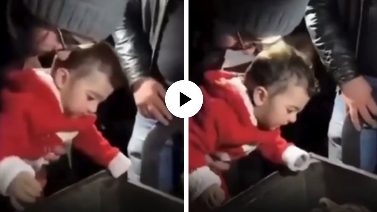 ‘बाबा… बाबा…’ दीड वर्षांच्या मुलीची शहिद वडिलांना हाक, हृदय पिळवटून टाकणारी दृश्ये; Video Viral