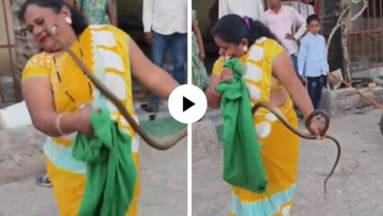 साप एकनिष्ठ आहे! बाईचं पकडणं सापाला आवडेना, हातात पकडताच घेतला गालाचा चावा… थरारक Video Viral