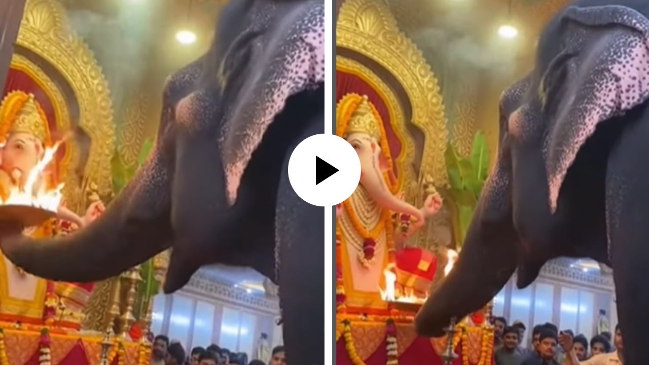भक्तीला शब्दांची गरज नसते! हत्ती झाला गणपतीच्या चरणी लीन, चक्क सोंडेने ताट उचलत केली आरती; अद्भुत Video Viral