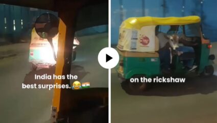 Video Viral : गोठ्यातून थेट शहरात… वासराने रिक्षात बसून घेतली शहराची सफर; पाहून नेटिझन्सही झाले फिदा!