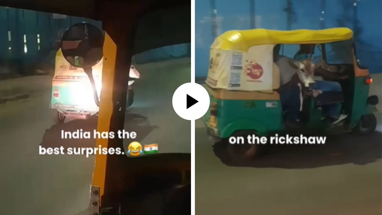 Video Viral : गोठ्यातून थेट शहरात… वासराने रिक्षात बसून घेतली शहराची सफर; पाहून नेटिझन्सही झाले फिदा!