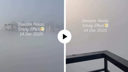 बाल्कनीत आले अन् प्रदूषणाला बळी पडले, समोरचे सर्वच दिसेनासे झाले… दिल्ली-नोएडातील भयानक वास्तव समोर; Video Viral
