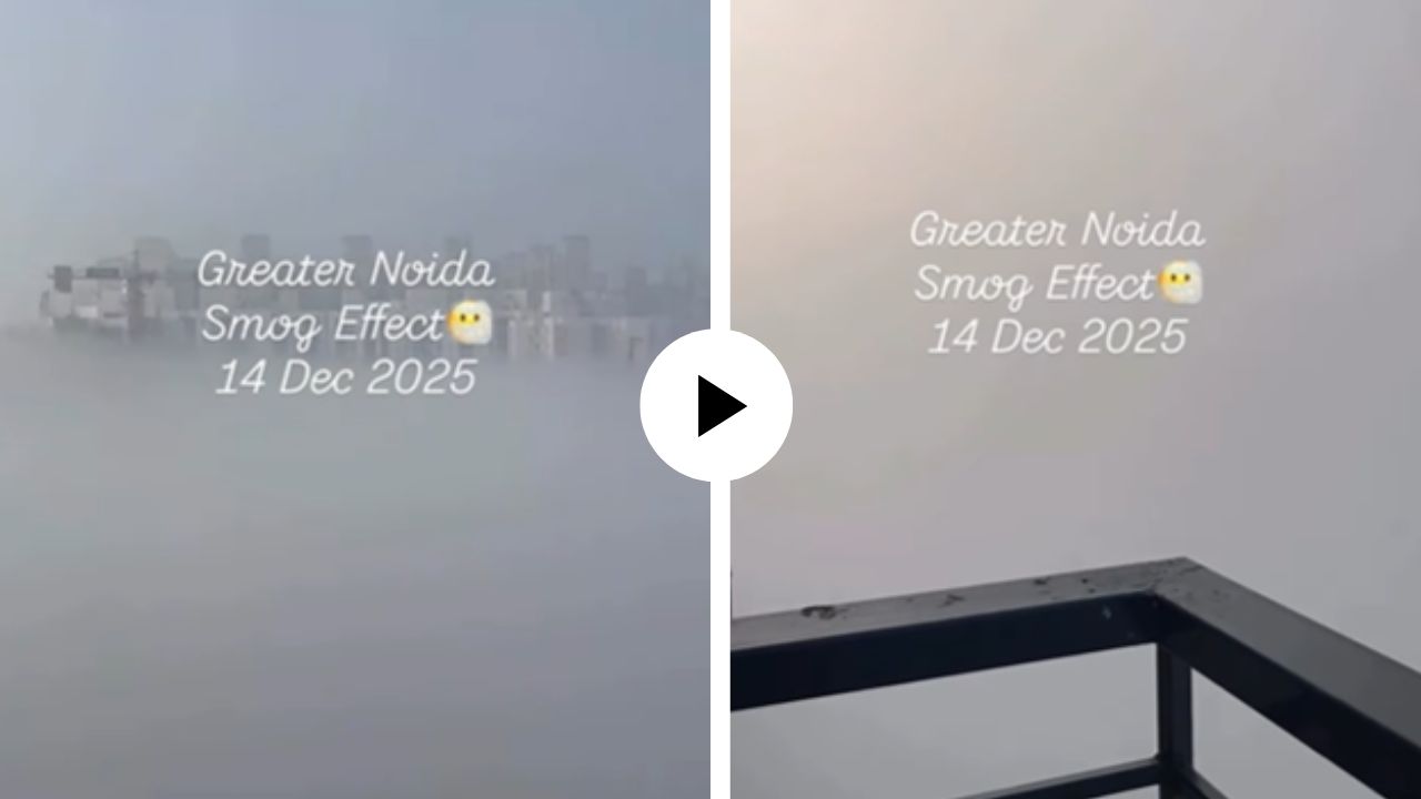 बाल्कनीत आले अन् प्रदूषणाला बळी पडले, समोरचे सर्वच दिसेनासे झाले… दिल्ली-नोएडातील भयानक वास्तव समोर; Video Viral