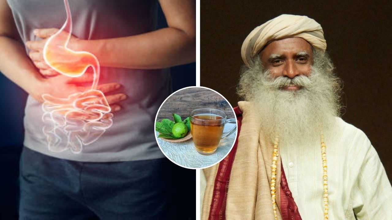Diarrhea Home Remedy : अतिसारात फायदेशीर ठरतो पेरूच्या पानांचा काढा; सद्गुरूंनी सांगितली बनवण्याची योग्य पद्धत