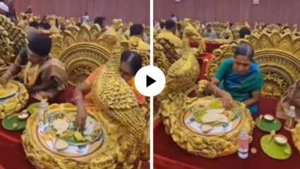 हीच काय ती खरी श्रीमंती! भावाने सोन्याच्या सिंहासनावर खाऊ घातलं लग्नाचं जेवण, पाहून वाटेल जणू चित्रपटाचाच सीन… Video Viral 