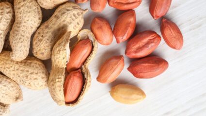 आता महागडे बदाम खाणे सोडा, मेमरी पॉवर वाढवण्यासाठी फायदेशीर ठरते 50 रुपयांच्या या पदार्थाचे सेवन; अभ्यासात झाला खुलासा