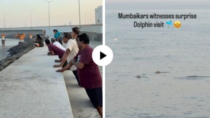 मुंबईच्या वरळी सी फेसवर दिसला समुद्राचा सर्वात सुंदर मासा… ‘डॉल्फिन’, पाहण्यासाठी हजारो लोकांची गर्दी; अद्भुत Video Viral