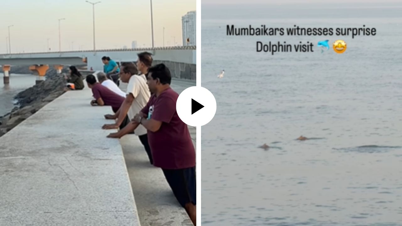 मुंबईच्या वरळी सी फेसवर दिसला समुद्राचा सर्वात सुंदर मासा… ‘डॉल्फिन’, पाहण्यासाठी हजारो लोकांची गर्दी; अद्भुत Video Viral