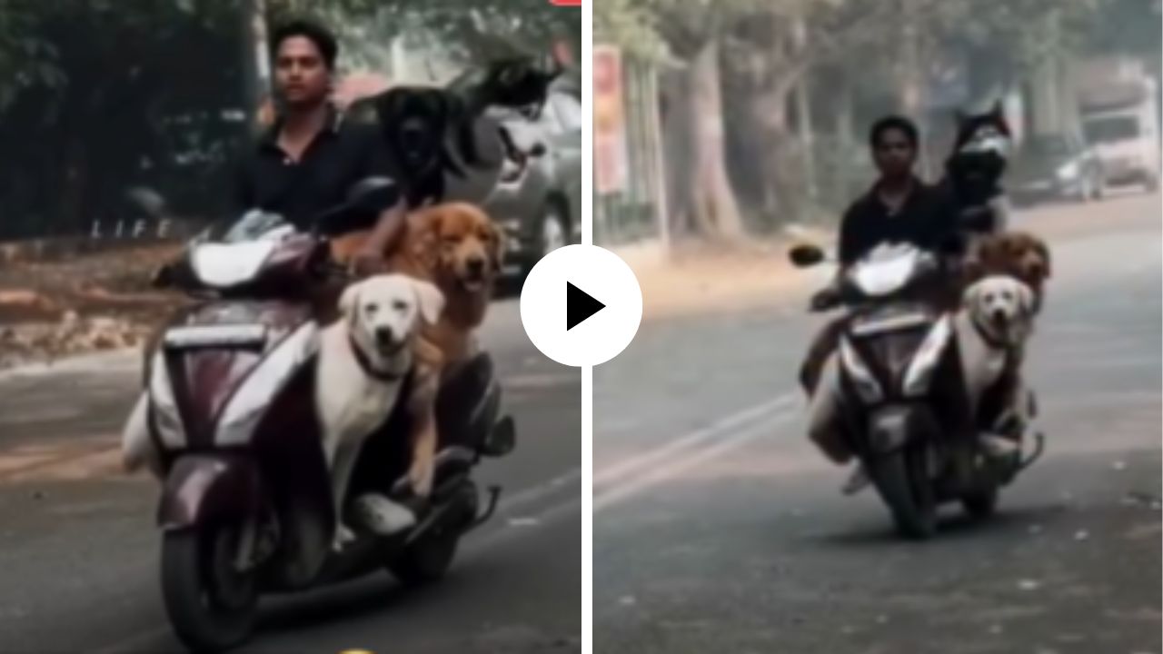 अरे भावा जरा एक राईड दे रे! व्यक्तीच्या स्कुटरवर दिसली कुत्र्यांची रेलचेल,1 नाही 2 नाही तर तब्बल चार श्वान झाले स्वार;Video Viral