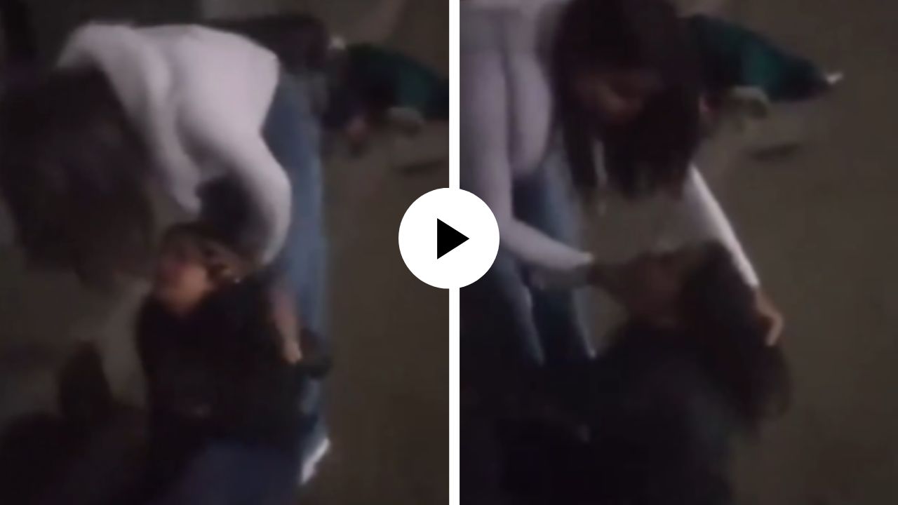 “तू त्याला बाबू बोललीच कशी…?”, कानपूरच्या रस्त्यावर अंधाऱ्या रात्री मुलींमध्ये राडा; केस खेचत जमिनीवर लोळवलं अन्… Video Viral