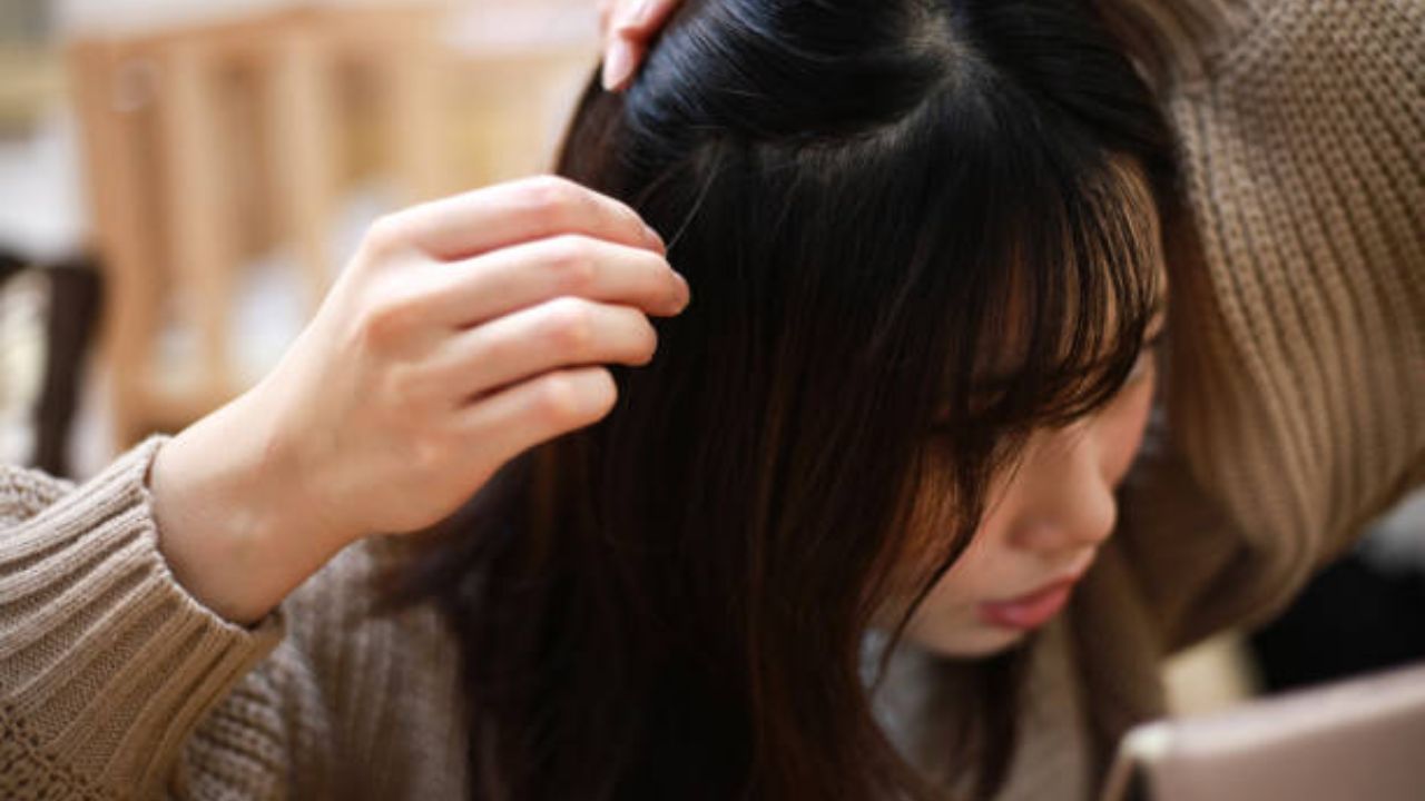 वयाआधीच केस पांढरे होऊ लागलेत? महागडे प्रोडक्ट्स नाही, तुमच्या ‘या’ सवयी दाखवतील चमत्कार