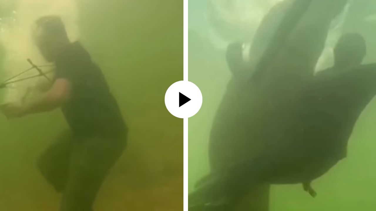 मासे पकडायला जाताच मागून मगरीने साधला निशाणा, पाण्यातच व्यक्तीसोबत असं काही घडलं… थरारक Video Viral