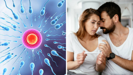 ‘लग्नाला 10 वर्ष झाली पण मूल नाही…’,पुरुषांचा Stamina वाढविण्यासाठी आयुर्वेदिक डॉक्टरांचा सल्ला, महिलांसाठीही खास उपाय