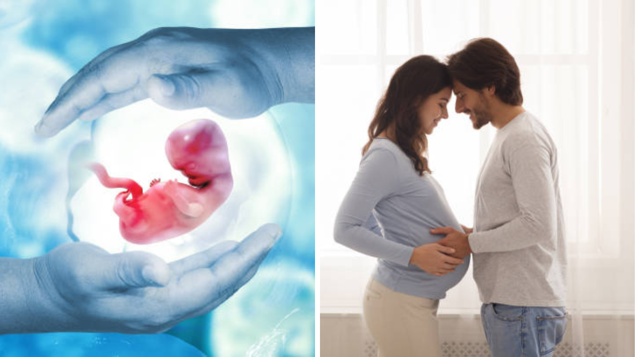 Pregnancy Tips: गर्भधारणा होण्यासाठी शारीरिक संबंधांनंतर अर्धा तास तसंच झोपणं गरजेचे आहे का? काय आहे तथ्य