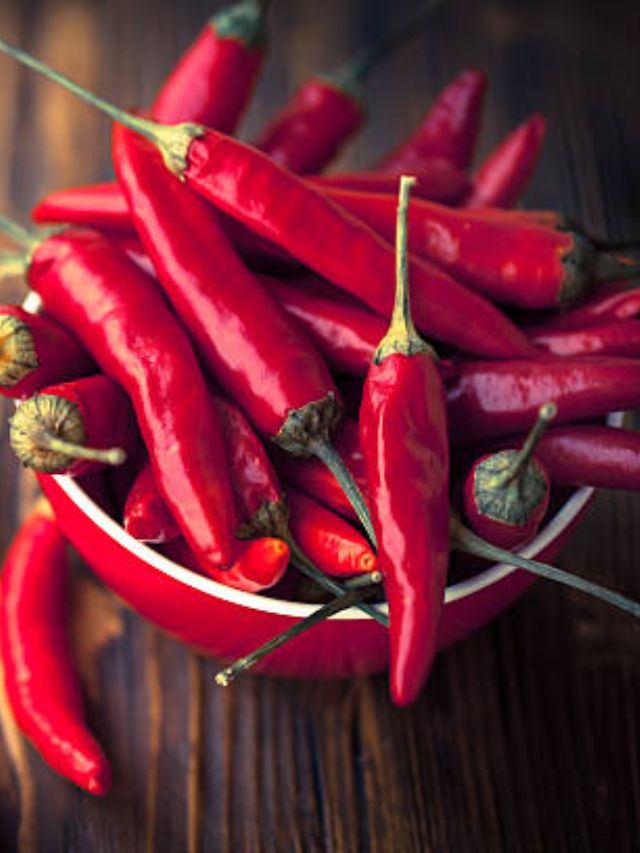 जास्त लाल मिरची खाल्ल्याने होऊ शकते हे नुकसान
