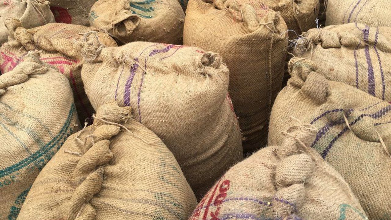 Bhandara News: धान खरेदीसाठी शेतकऱ्यांना दिलासा! ऑनलाइन नोंदणीसाठी मुदतवाढ जाहीर, नियम जाणून घ्या