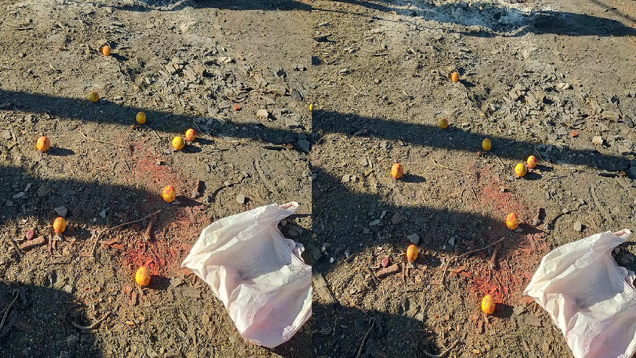 सावळज स्मशानभूमीत जादूटोण्याचा प्रकार! लिंबू, काळे दोरे, कुंकू आढळल्यामुळे नागरिक संतापले