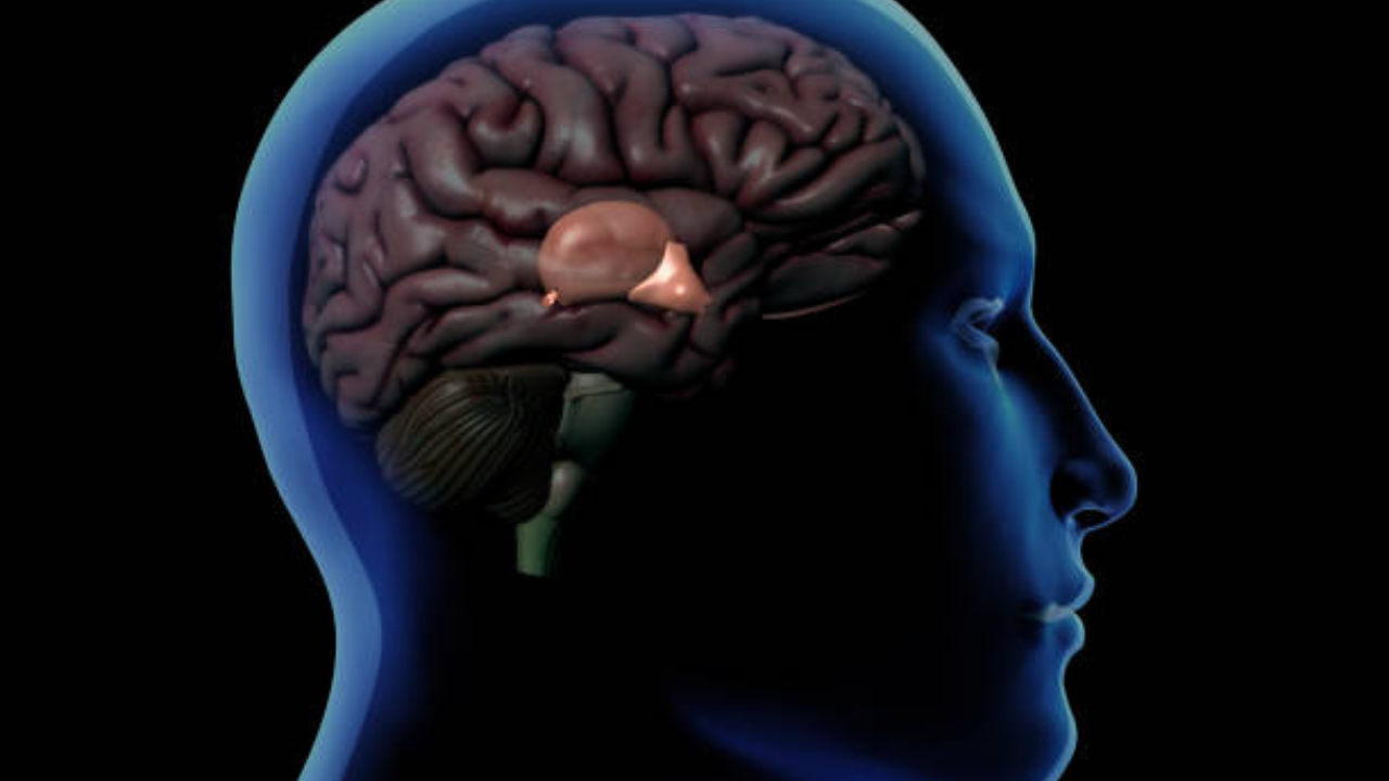 तुमची कार्यरत स्मरणशक्ती आणि लक्ष बळकट करण्यासाठी, यादी आठवण्याचा सराव करा. बाजारातून खरेदी केलेल्या वस्तू किंवा भाज्यांची यादी लक्षात ठेवण्याचा प्रयत्न करा, नंतर यादी लपवा आणि ती आठवा. तुम्हाला किती वस्तू आठवू शकतात ते लक्षात ठेवा