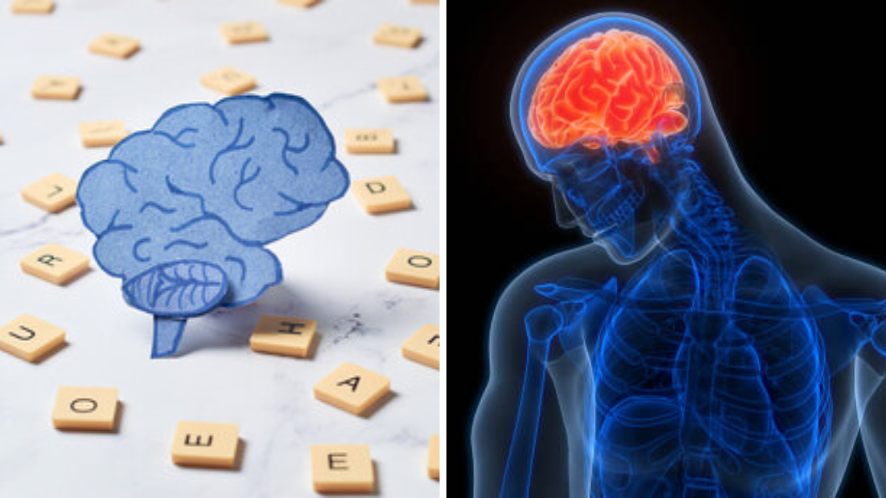 कमी वयातच विसरताय गोष्टी? Memory Power वाढविण्यासाठी नियमित हव्यात ‘या’ सवयी