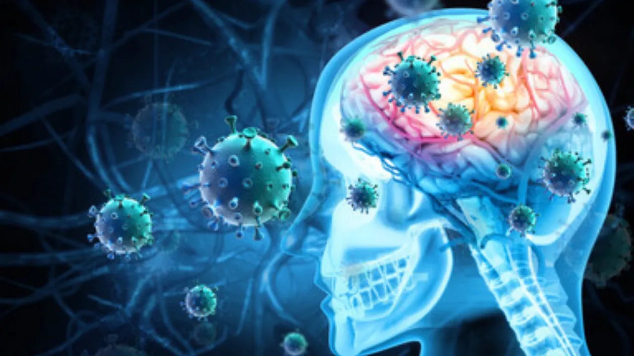 हिवाळ्यात स्ट्रोकच्या रुग्णसंख्येत मोठी वाढ; नेमकं कारण काय?
