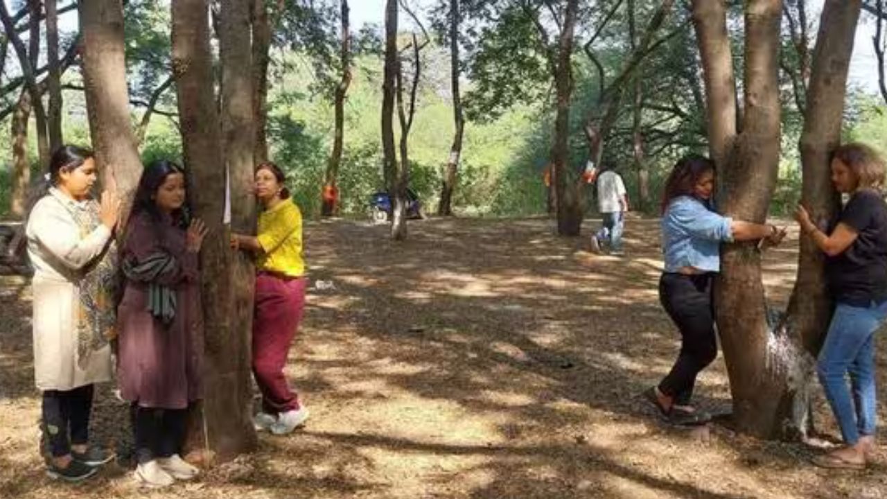 Satara News : तपोवन वृक्षतोडप्रकरणी उच्च न्यायालयात जाणार; सह्याद्री वाचवा मोहिमेतंर्गत पर्यावरण प्रेमींनी दिला इशारा