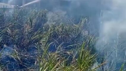 कदमवाकवस्ती परिसरात अडीच एकर ऊस जळून खाक; शेतकऱ्याचं मोठं नुकसान