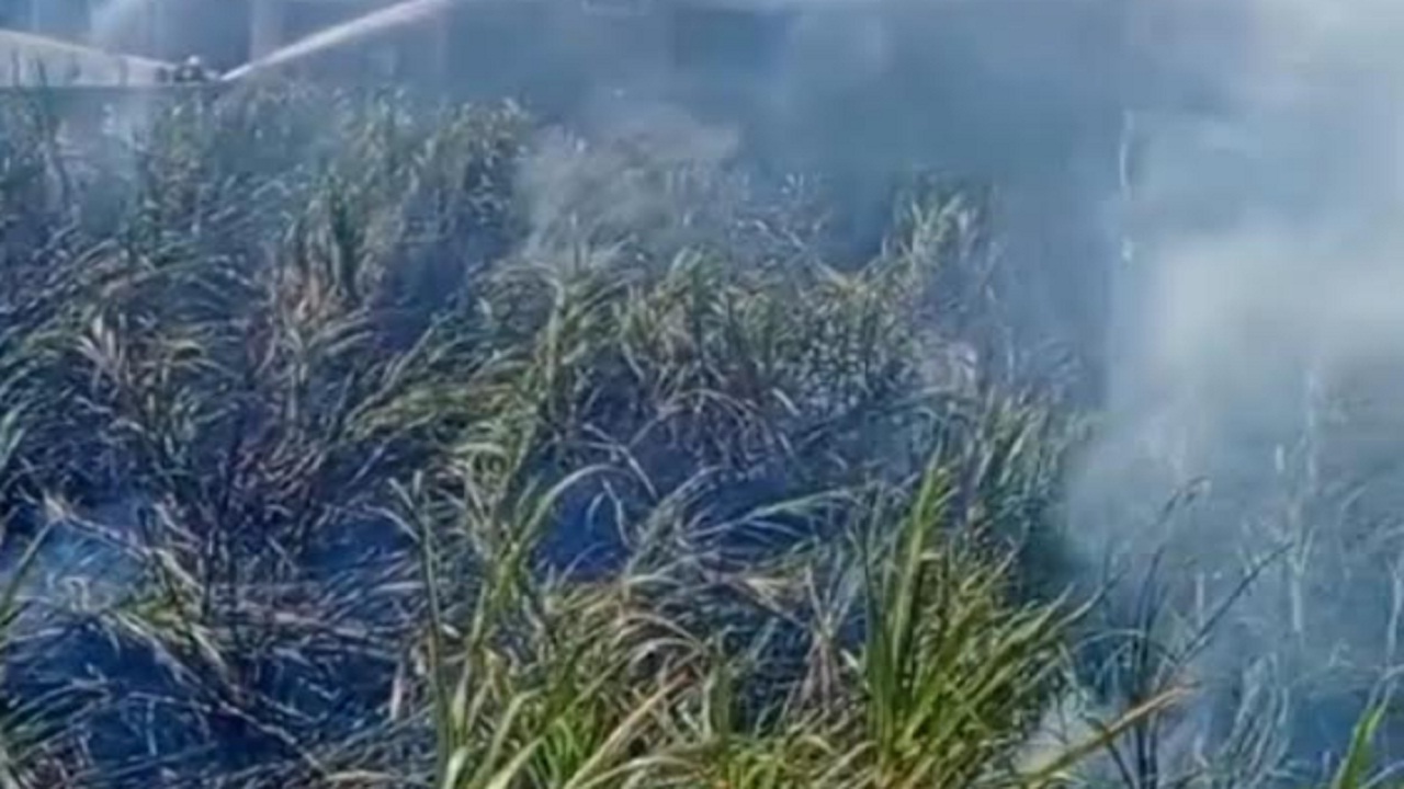 कदमवाकवस्ती परिसरात अडीच एकर ऊस जळून खाक; शेतकऱ्याचं मोठं नुकसान