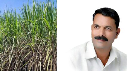 ऊस बिलातून कर्जवसुली थांबवा, अन्यथा…; बळीराजा शेतकरी संघटनेचा इशारा