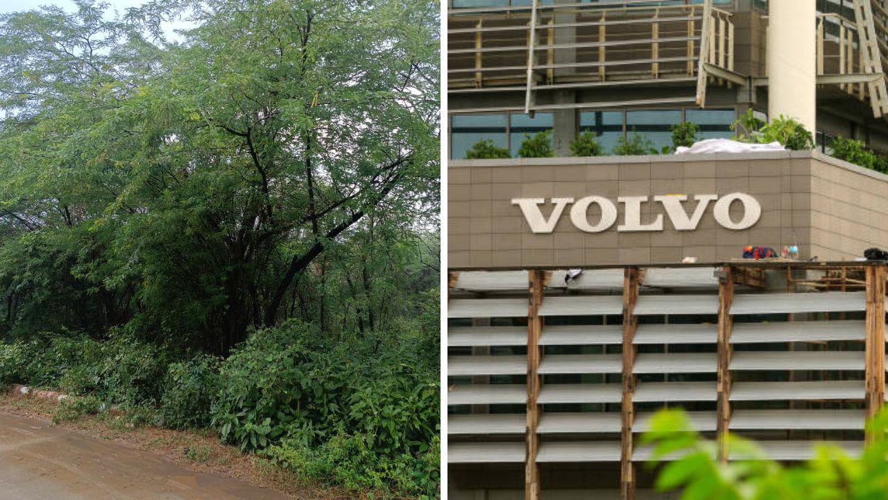 रिव्हर्स प्रोजेक्ट अंतर्गत Volvo Car India कडून अरावली पर्वतरांगांमध्ये 20,000 हून अधिक वृक्षारोपण