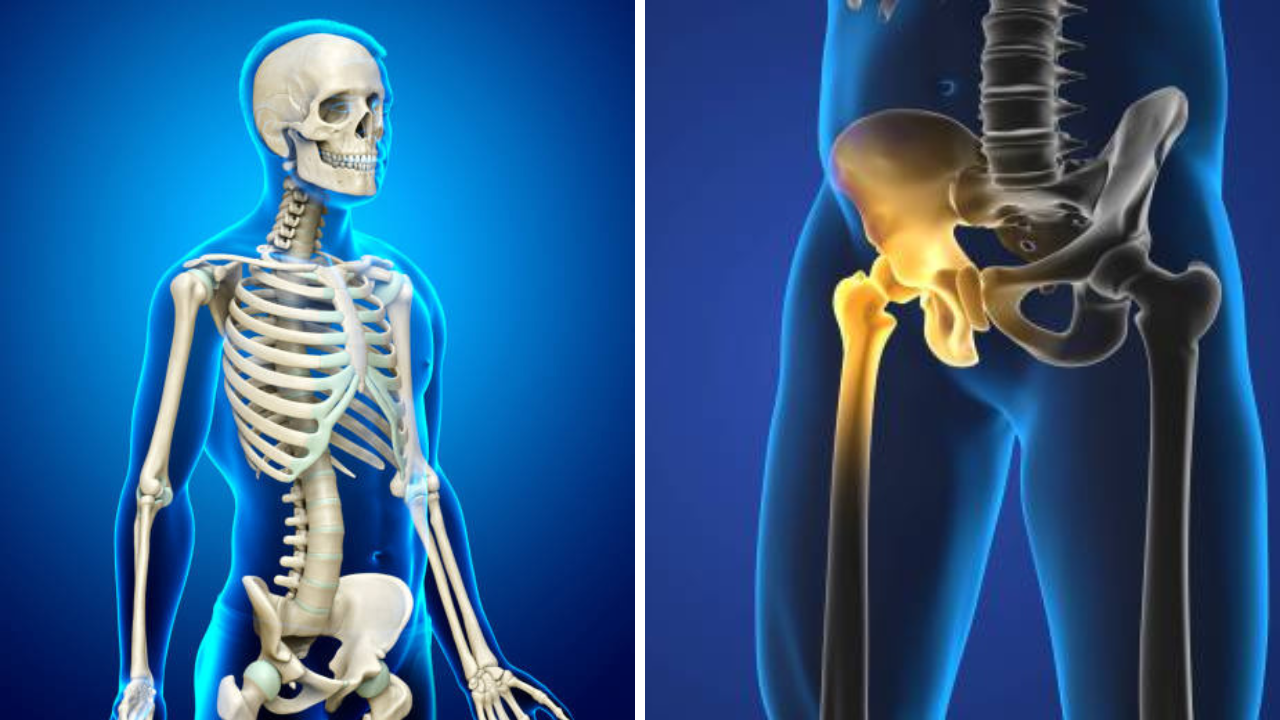 How To Whiten Bone: हाडं खिळखिळी, रंग होतोय पिवळा; लहानसे बी देईल हाडांना सफेदी आणि ताकद