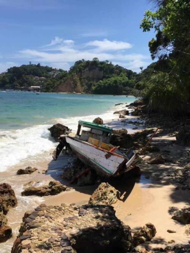 परदेशी पाहुण्यांना भुरळ पडतेय कोकणातल्या 'या' समुद्रकिनाऱ्याची