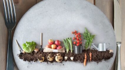 Farm to Fork Model in India: भारतात वेगाने रुजतेय युरोपियन मॉडेल ‘फार्म टू फोर्क’; आर्थिक वाढीसाठी ठरेल नवे इंजिन?